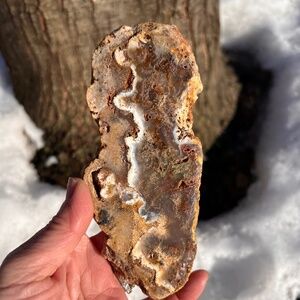 Graveyard (1) point plume agate slab with stand | crystal